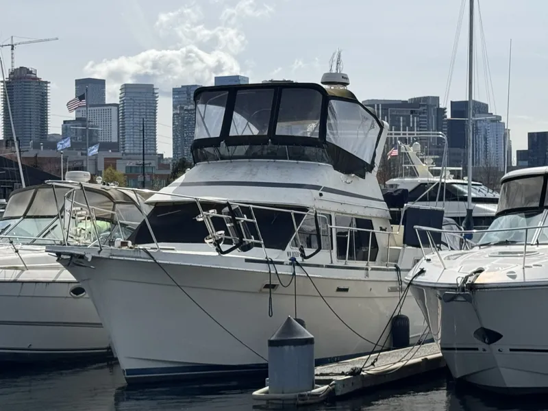 Slide: The Image of Tollycraft 34 Sundeck 1986 - 66