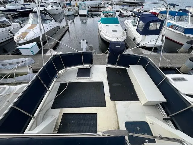 Slide: The Image of Tollycraft 34 Sundeck 1986 - 9