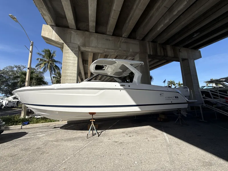 The Image of Cobalt R31 2026 - 1