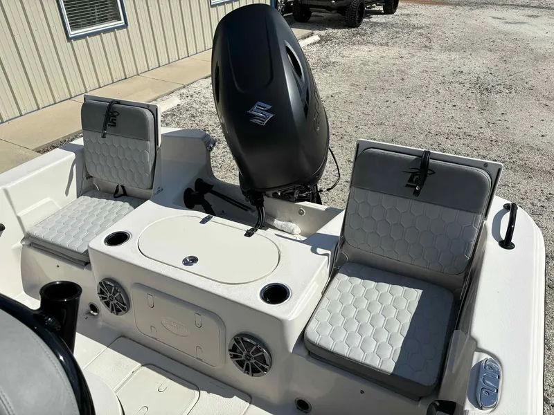 Slide: The Image of Carolina 21LS 2026 - 19