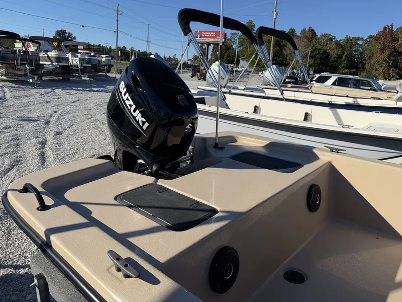 Slide: The Image of Carolina E Series 18 JVX CC 2026 - 6