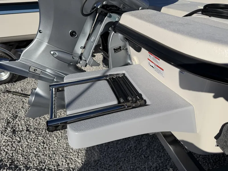 Slide: The Image of Carolina E Series 18 JVX TH 2026 - 6