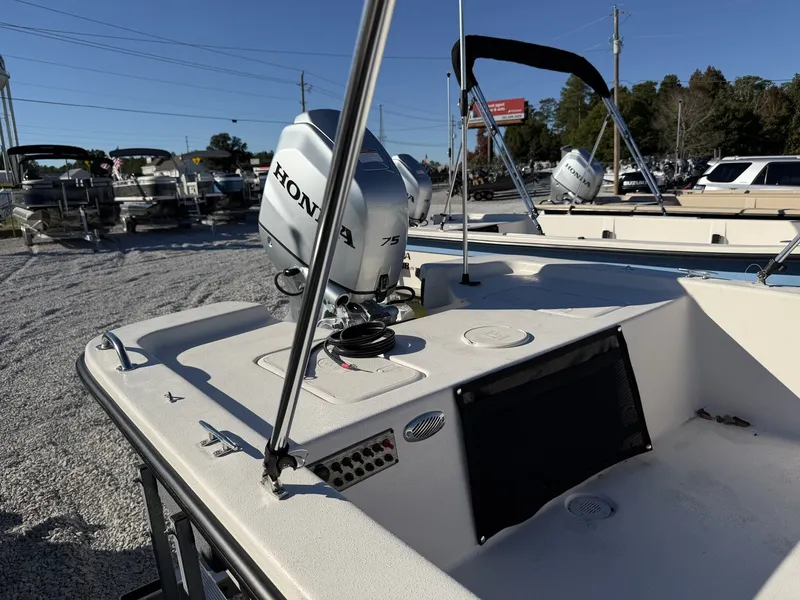 Slide: The Image of Carolina E Series 18 JVX TH 2026 - 5