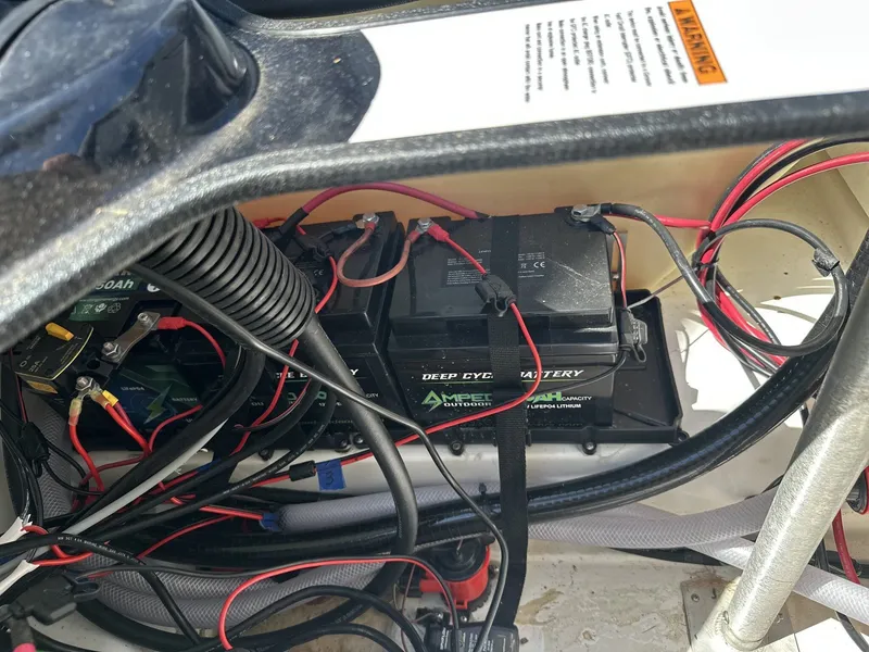 Slide: The Image of Bass Cat Bobcat 2023 - 12