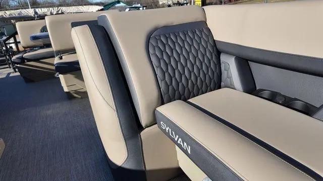 Slide: The Image of Sylvan L-1 DLZ 2026 - 11