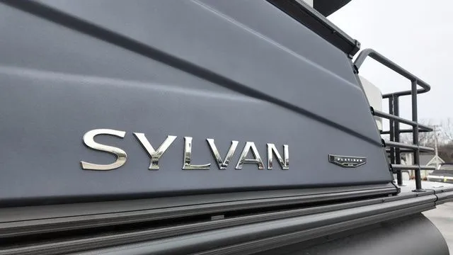 Slide: The Image of Sylvan L-3 CLZ DH 2026 - 19