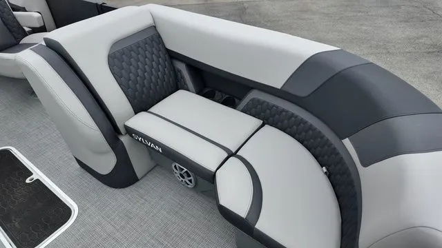 Slide: The Image of Sylvan L-3 CLZ DH 2026 - 21