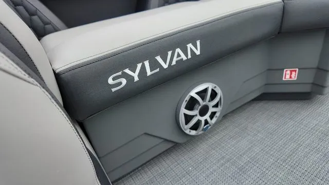 Slide: The Image of Sylvan L-3 CLZ DH 2026 - 29