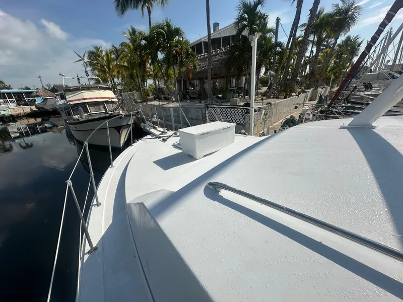Slide: The Image of 1974 Bertram 42 Motor Yacht docked near palm trees and waterfront buildings. - 11
