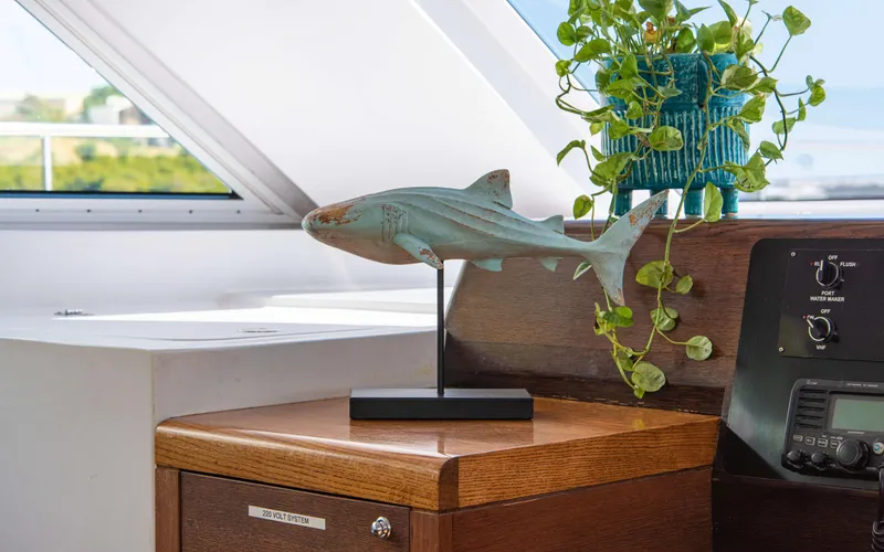 Slide: The Image of Decorative shark sculpture and plant on yacht interior, Two Oceans OPEN OCEAN 750S, 2013. - 38