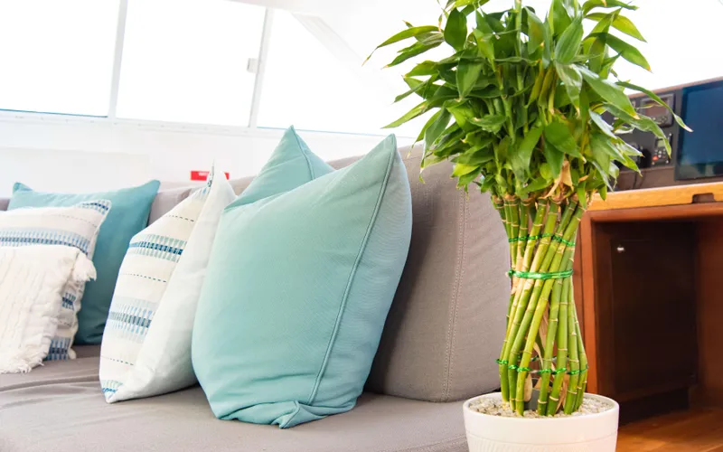 Slide: The Image of Two Oceans OPEN OCEAN 750S 2013 - 65