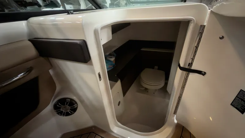 Slide: The Image of Sea Ray 290 SDX OUTBOARD 2022 - 10