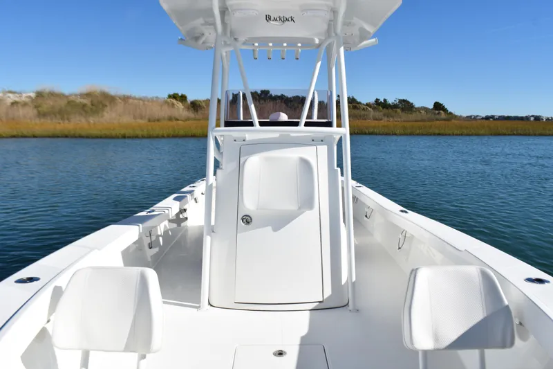 Slide: The Image of 2020 BlackJack 256 Coastal boat on calm water, featuring sleek white design and spacious deck. - 12