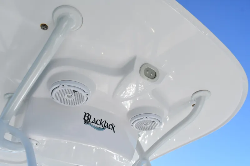 Slide: The Image of 2020 BlackJack 256 Coastal boat speakers and structure against clear blue sky. - 13