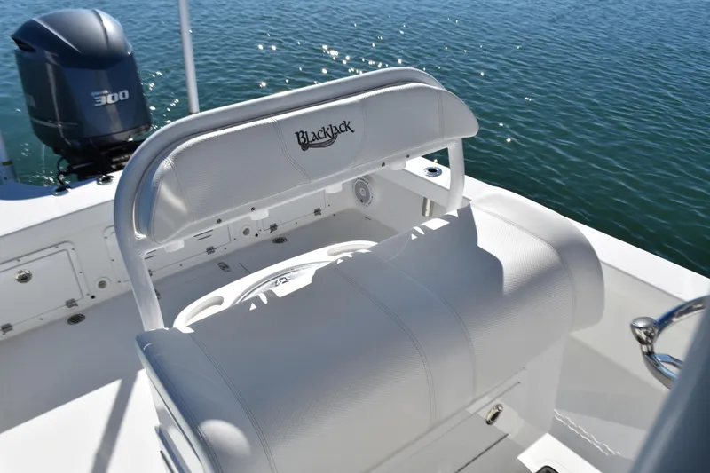 Slide: The Image of 2020 BlackJack 256 Coastal boat with white seating and powerful outboard motor on water. - 23