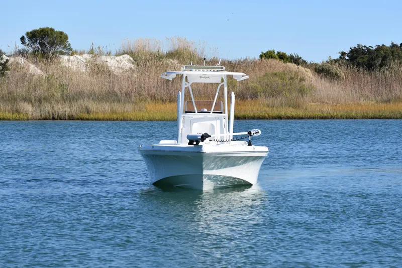Slide: The Image of 2020 BlackJack 256 Coastal boat on calm water, surrounded by reeds and trees. - 5