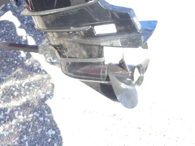 Slide: The Image of Tracker Panfish 17 2026 - 12