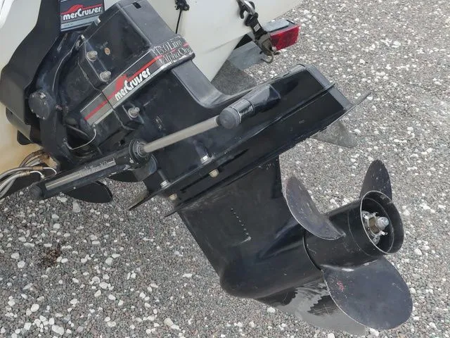 Slide: The Image of Dynasty 17Foot 1993 - 9