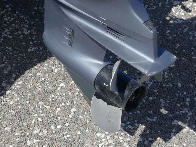 Slide: The Image of Godfrey SW 2086 BF 2020 - 12