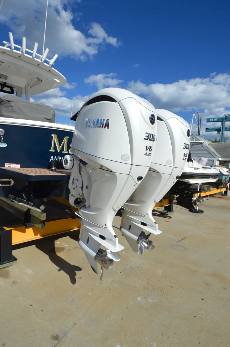 Slide: The Image of Regulator Marine 28 2021 - 6