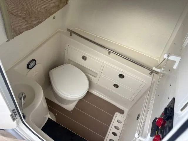 Slide: The Image of Sailfish 290 CC 2022 - 18