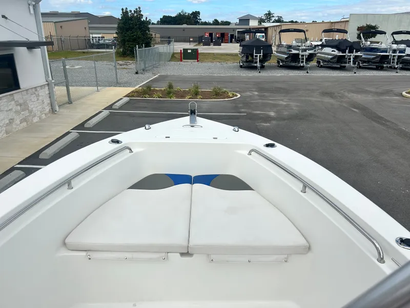 Slide: The Image of Sea Pro 238CC 2007 - 14