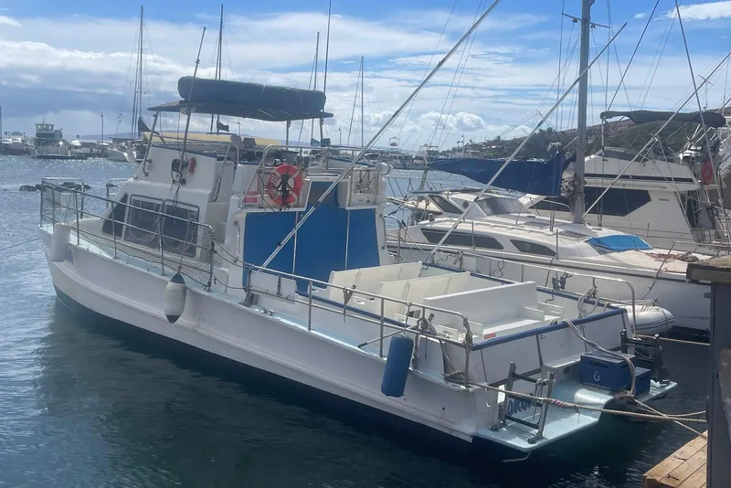The Image of 1998 Douglas Phillips Power Cat boat docked in a marina under a cloudy sky. - 1