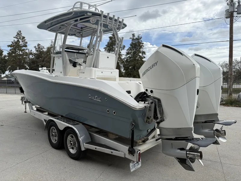 Slide: The Image of Sea Cat 260 2021 - 3