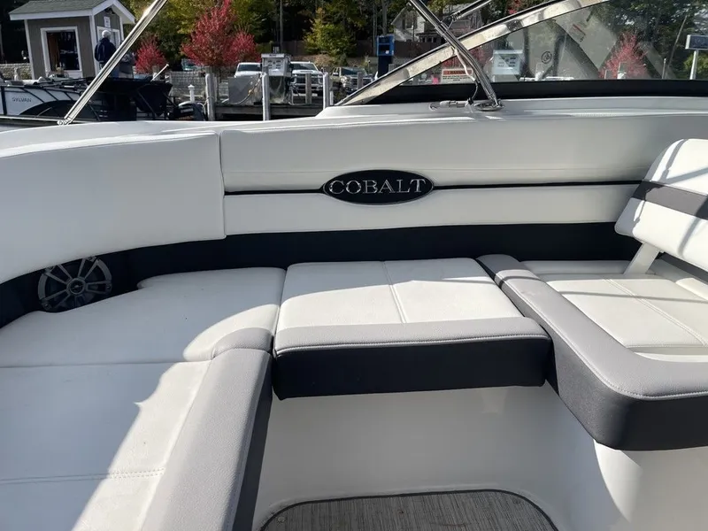 Slide: The Image of Cobalt CS22 2024 - 8