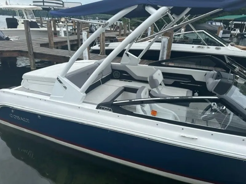 The Image of Cobalt CS22 2024 - 1