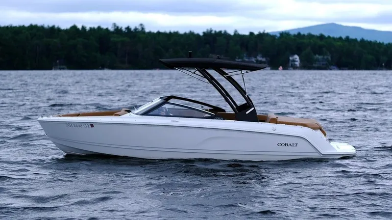 Slide: The Image of Cobalt CS22 2024 - 5