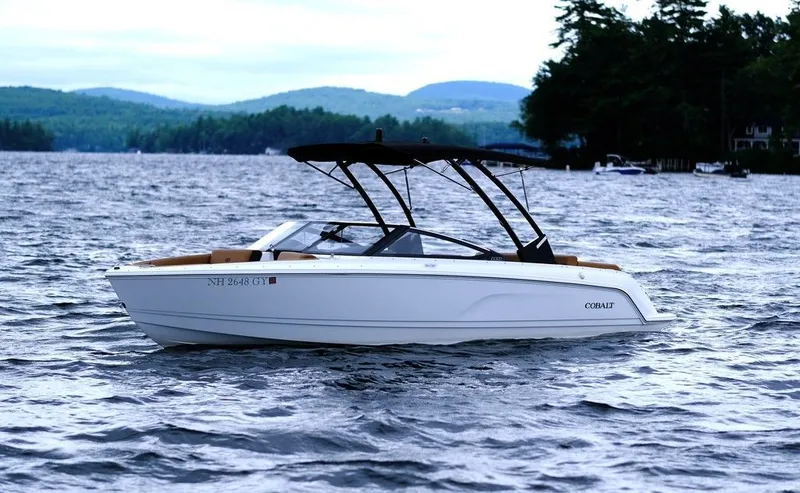 Slide: The Image of Cobalt CS22 2024 - 6