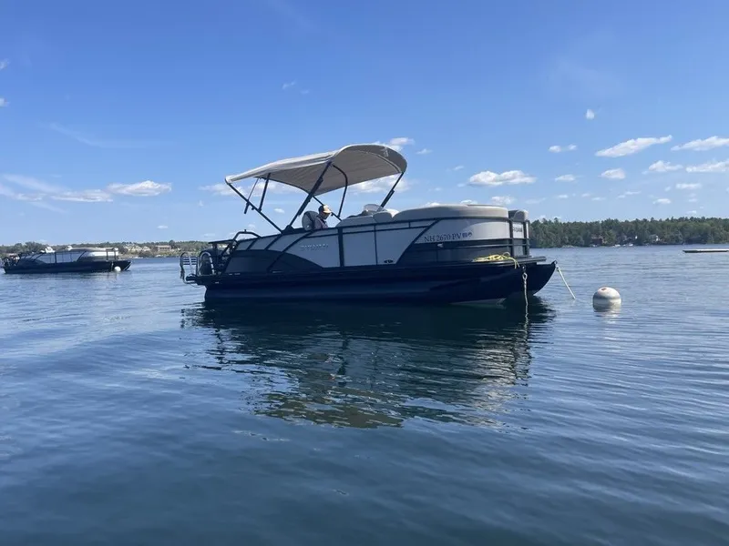 The Image of Sylvan L1 DLZ 2025 - 1