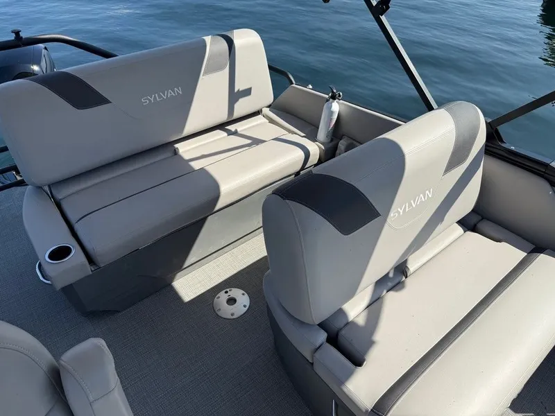 Slide: The Image of Sylvan L1 DLZ 2025 - 12