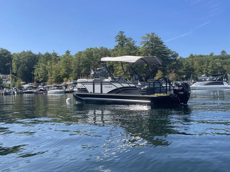 Slide: The Image of Sylvan L1 DLZ 2025 - 3