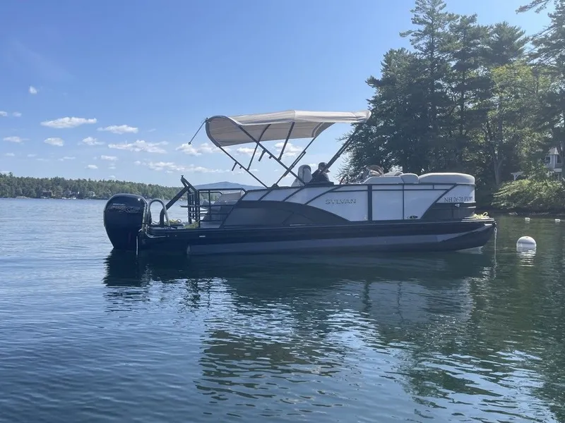 Slide: The Image of Sylvan L1 DLZ 2025 - 7