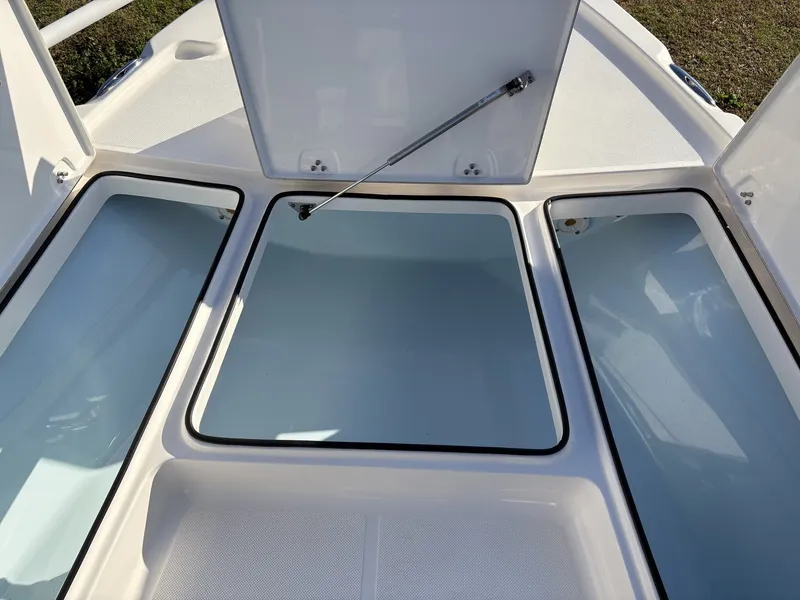 Slide: The Image of Sea Born FX FX21 2024 - 24