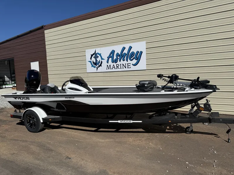 The Image of Vexus AVX 1980 2026 - 1