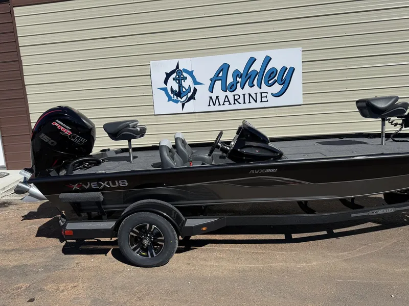 The Image of Vexus AVX 1980 2026 - 1