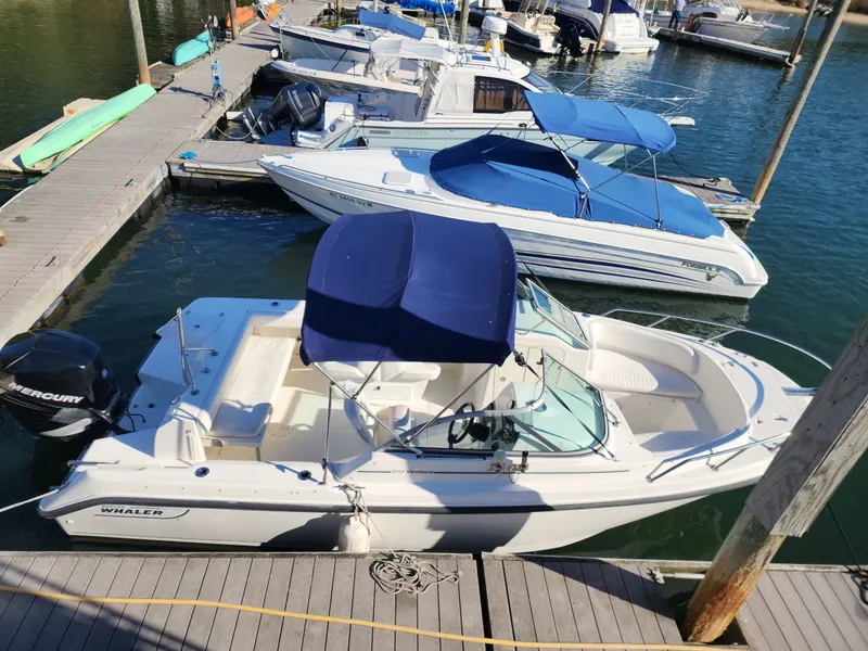The Image of Boston Whaler Ventura 2006 - 1