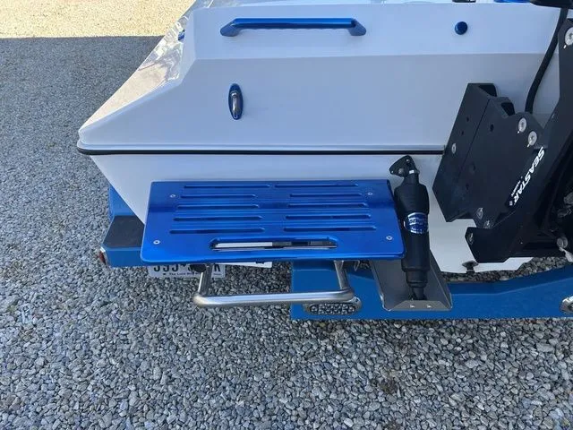 Slide: The Image of Liberator 22TD 2020 - 20