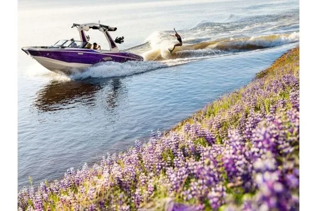 The Image of Centurion Nv233 2026 - 1