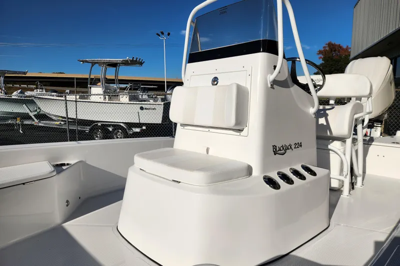 Slide: The Image of 2026 BlackJack 224 boat with sleek design and comfortable seating in a marina setting. - 13