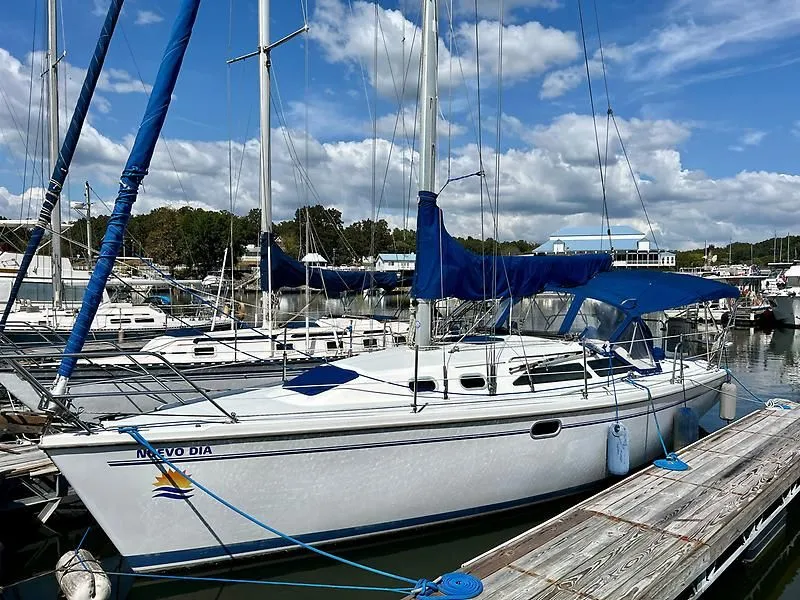 The Image of 2000 Catalina 320 sailboat docked at marina under blue sky. - 0