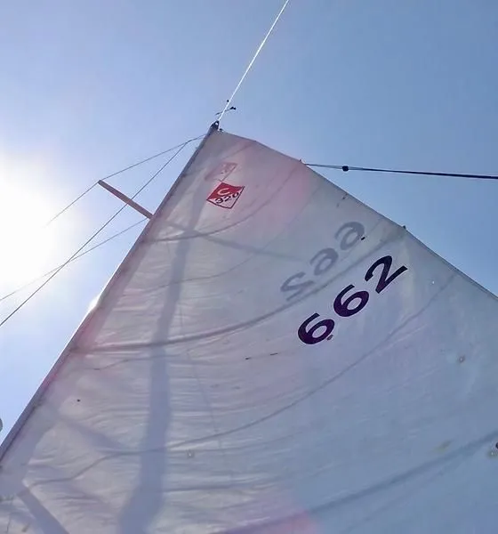 Slide: The Image of Sail of a 2000 Catalina 320 yacht against a clear blue sky. - 22