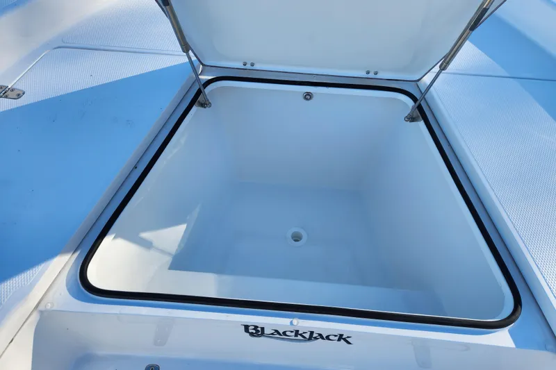 Slide: The Image of Open storage compartment on 2026 BlackJack 256 Bay boat, featuring a sleek design. - 10