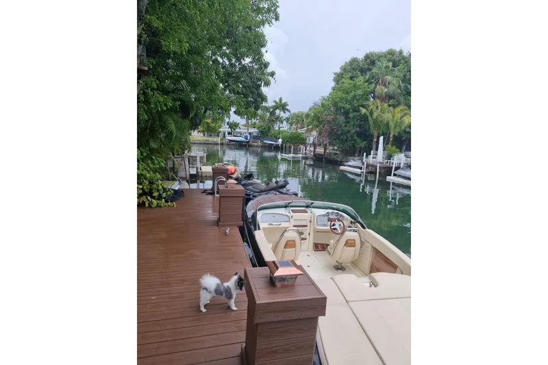 Slide: The Image of 2018 Chris-Craft Capri 27 boat covered, docked by tropical waterfront. - 2