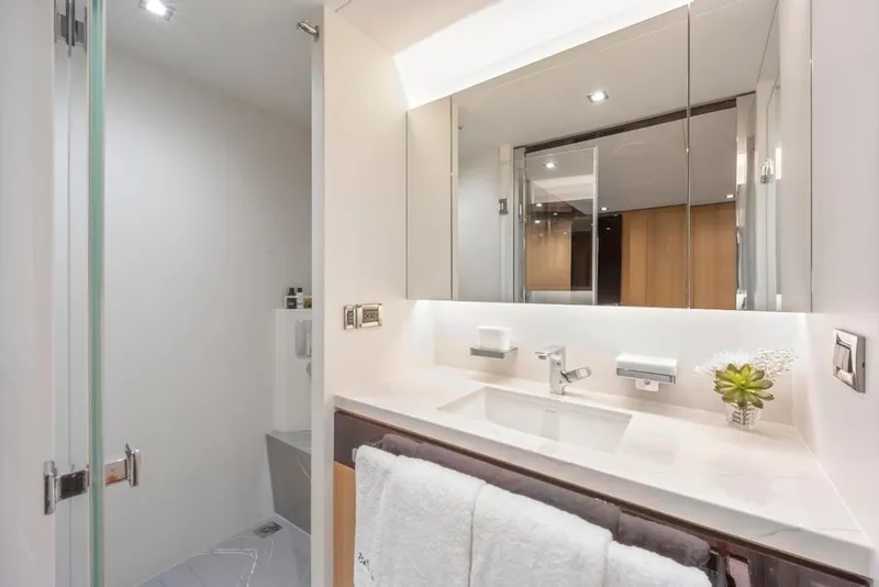 Slide: The Image of Guest Stateroom Vanity and Shower - 41