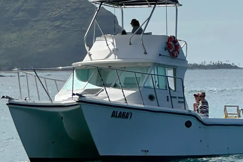 The Image of 2007 Baha Cruisers 340 King Cat boat on water with passengers, scenic background. - 1