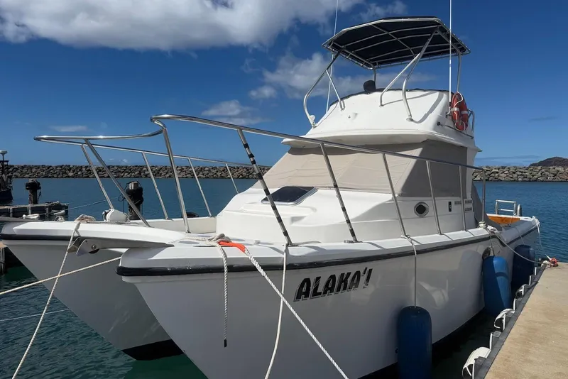 Slide: The Image of 2007 Baha Cruisers 340 King Cat docked at marina under blue sky. - 3